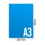 A3